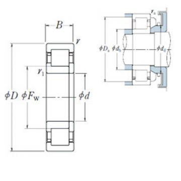 roulements NUP 205 EW NSK