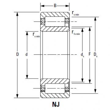 Bearing NJ2226EMA