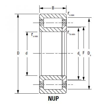 Bearing NJ320EMA