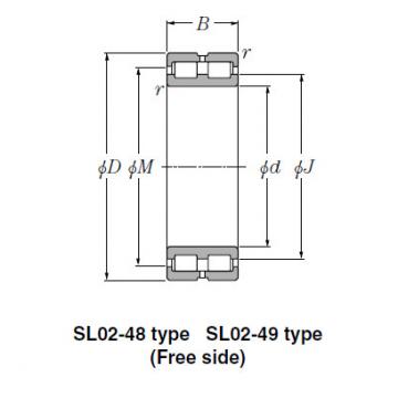 Bearing SL02-4836