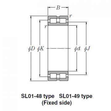 Bearing SL01-4944