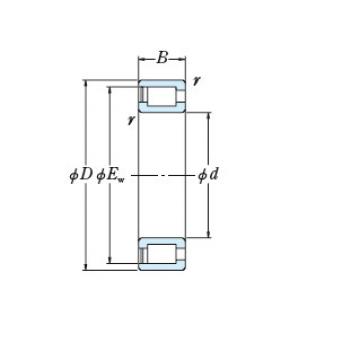 Bearing NCF1852V