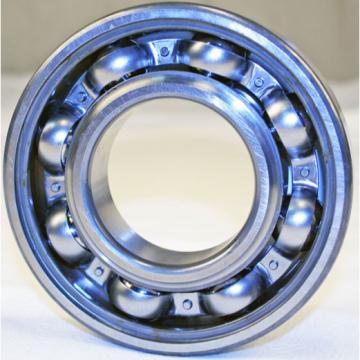  NUP 206 ECP  Single Row Cylindrical Bearing, NUP206 Stainless Steel Bearings 2018 LATEST SKF